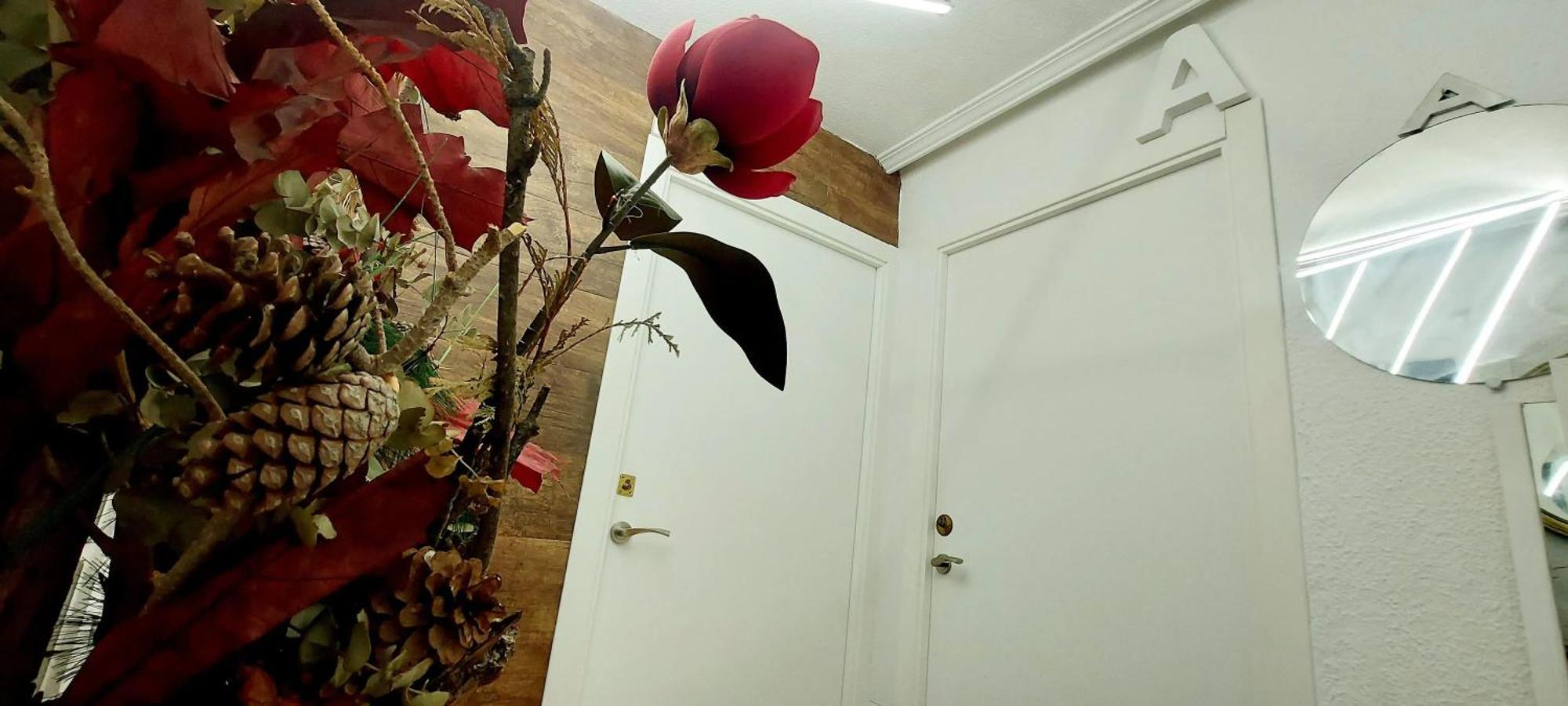 Modern Apartment In Alacant 60M² Wheelchair Accessible Alicante Eksteriør billede